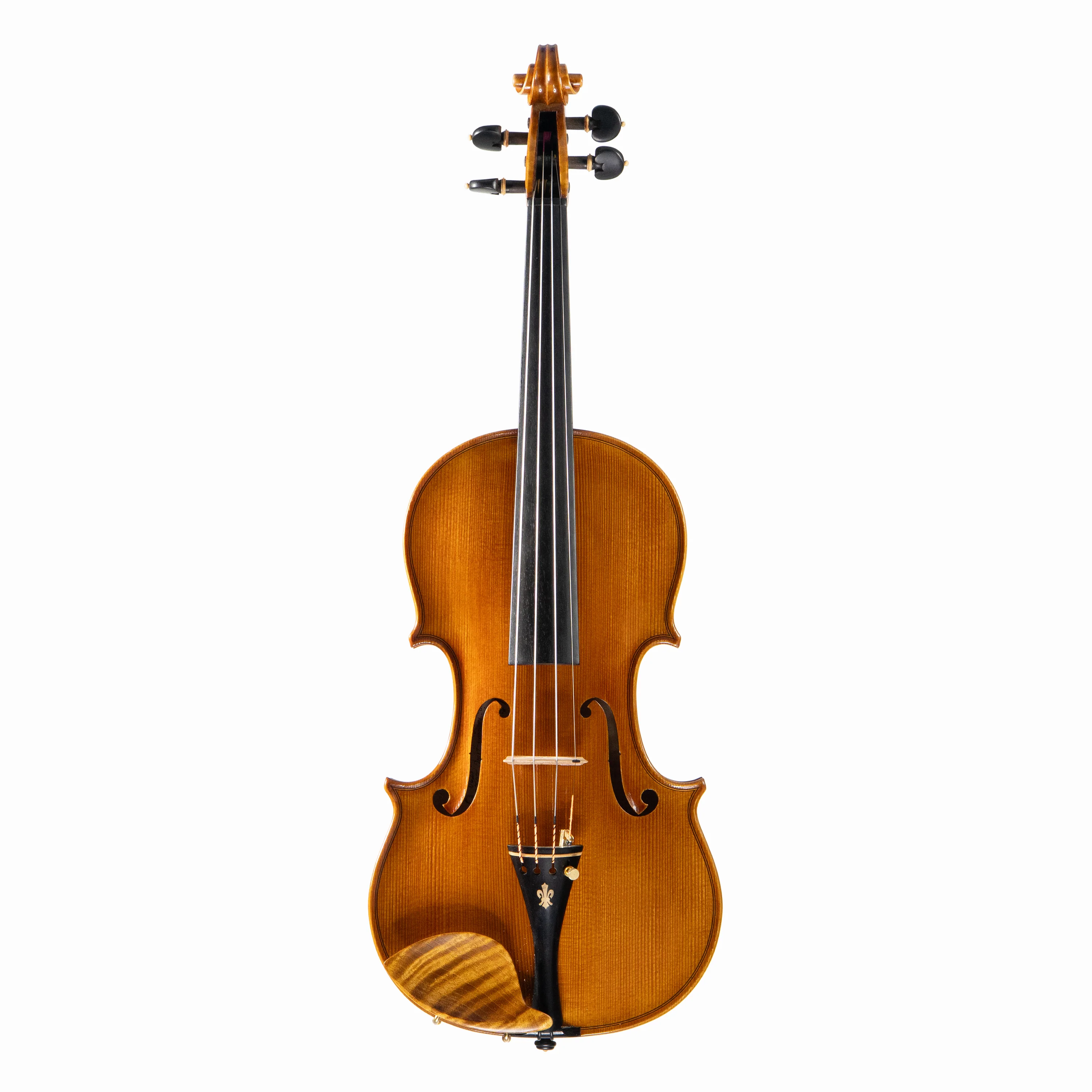 Ali Hosseini Violin, Hamedan, 2025 - Image 2