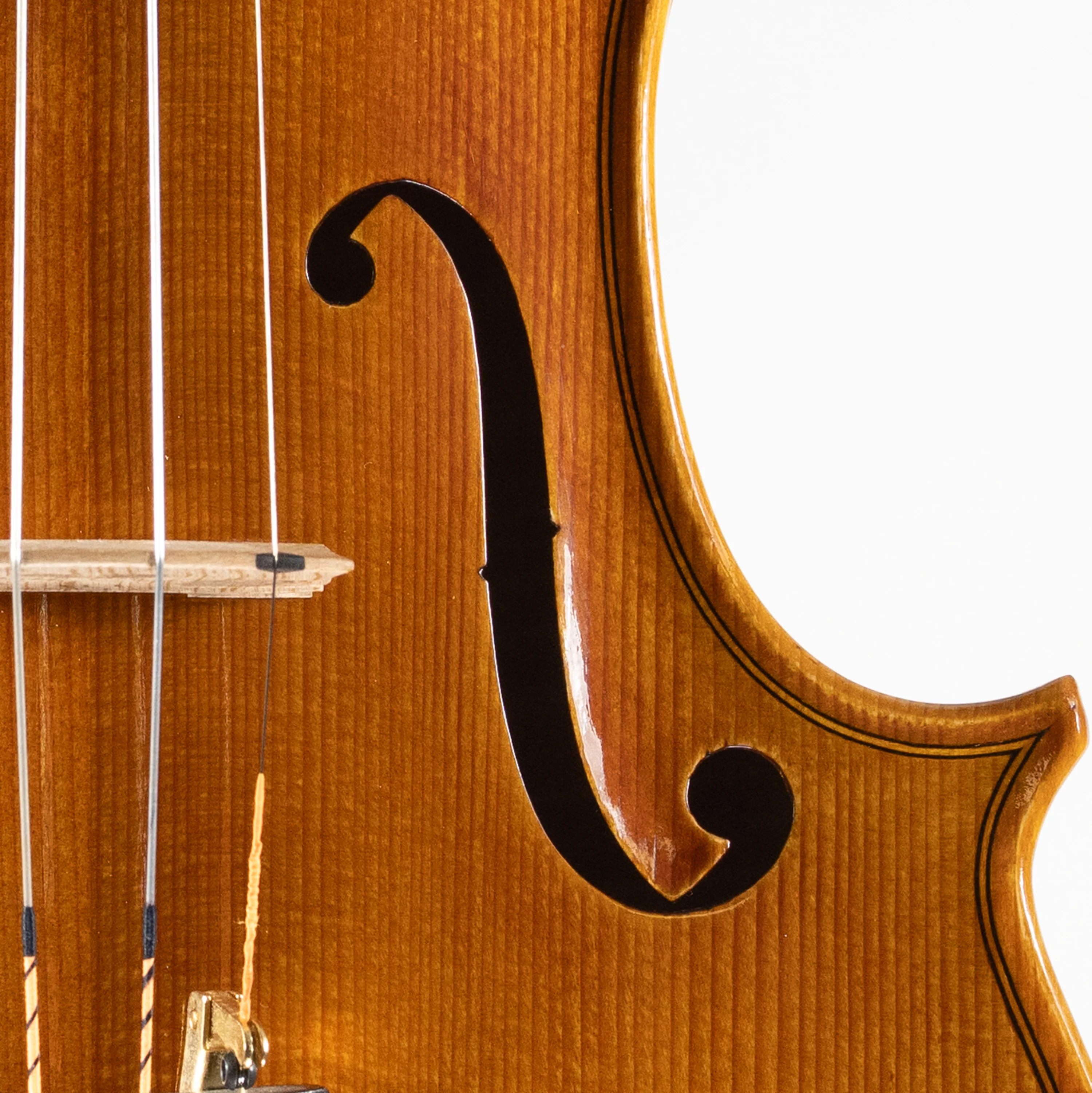 Ali Hosseini Violin, Hamedan, 2025 - Image 4