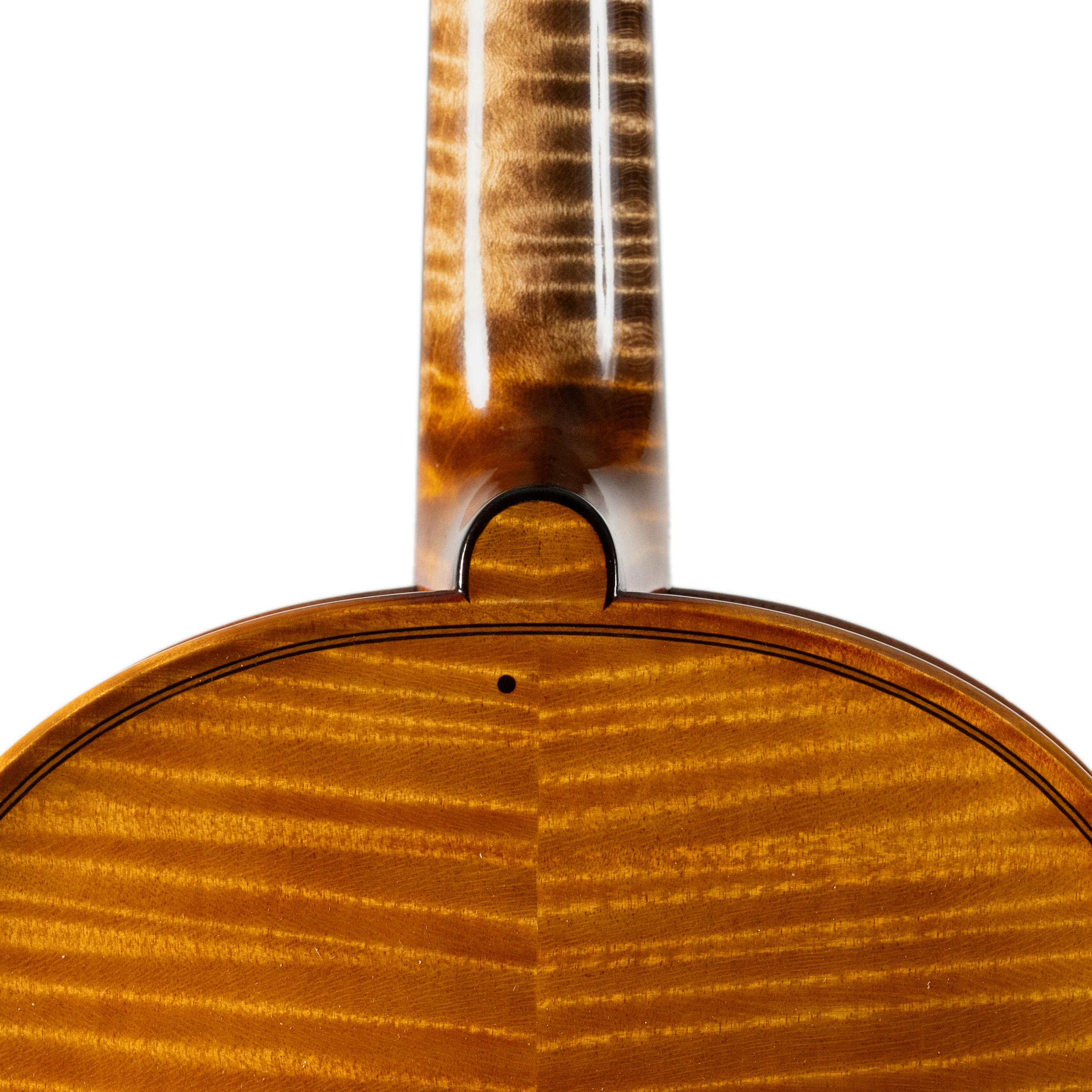 Ali Hosseini Violin, Hamedan, 2025 - Image 9