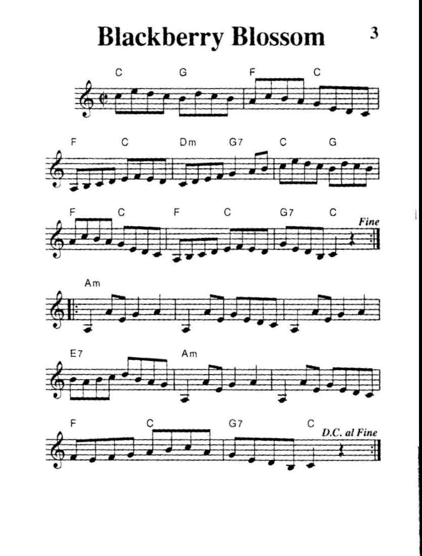 Mel Bay's Fiddling Tune Book: Pocketbook Deluxe Series - for Violin - by William Bay - Mel Bay Publication - Image 3