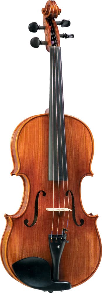 Blemished Carlo Lamberti Sonata Viola - Image 3