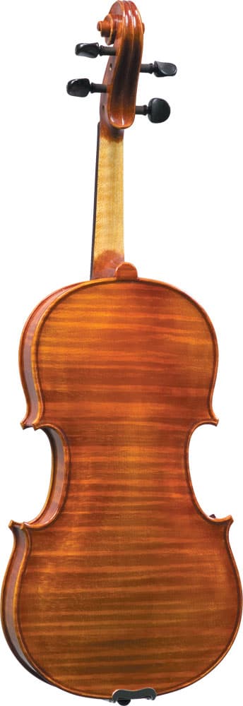 Blemished Carlo Lamberti Sonata Viola - Image 4