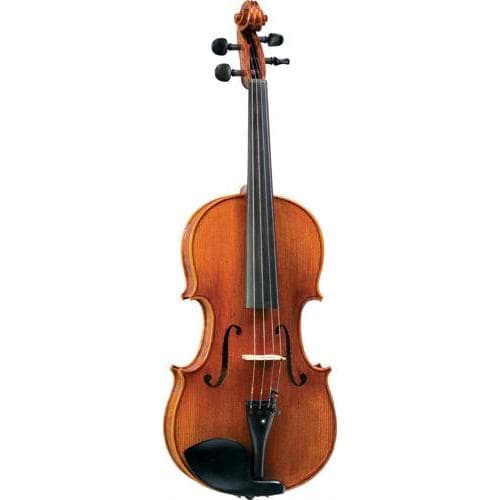 Blemished Carlo Lamberti Sonata Viola - Image 5