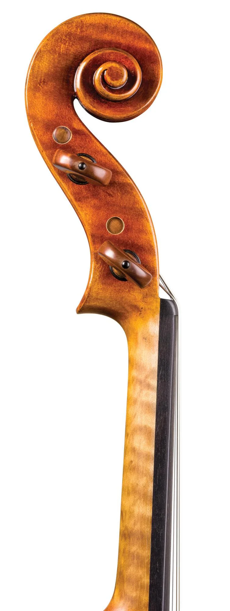 Blemished Carlo Lamberti Tertis Viola - Image 3