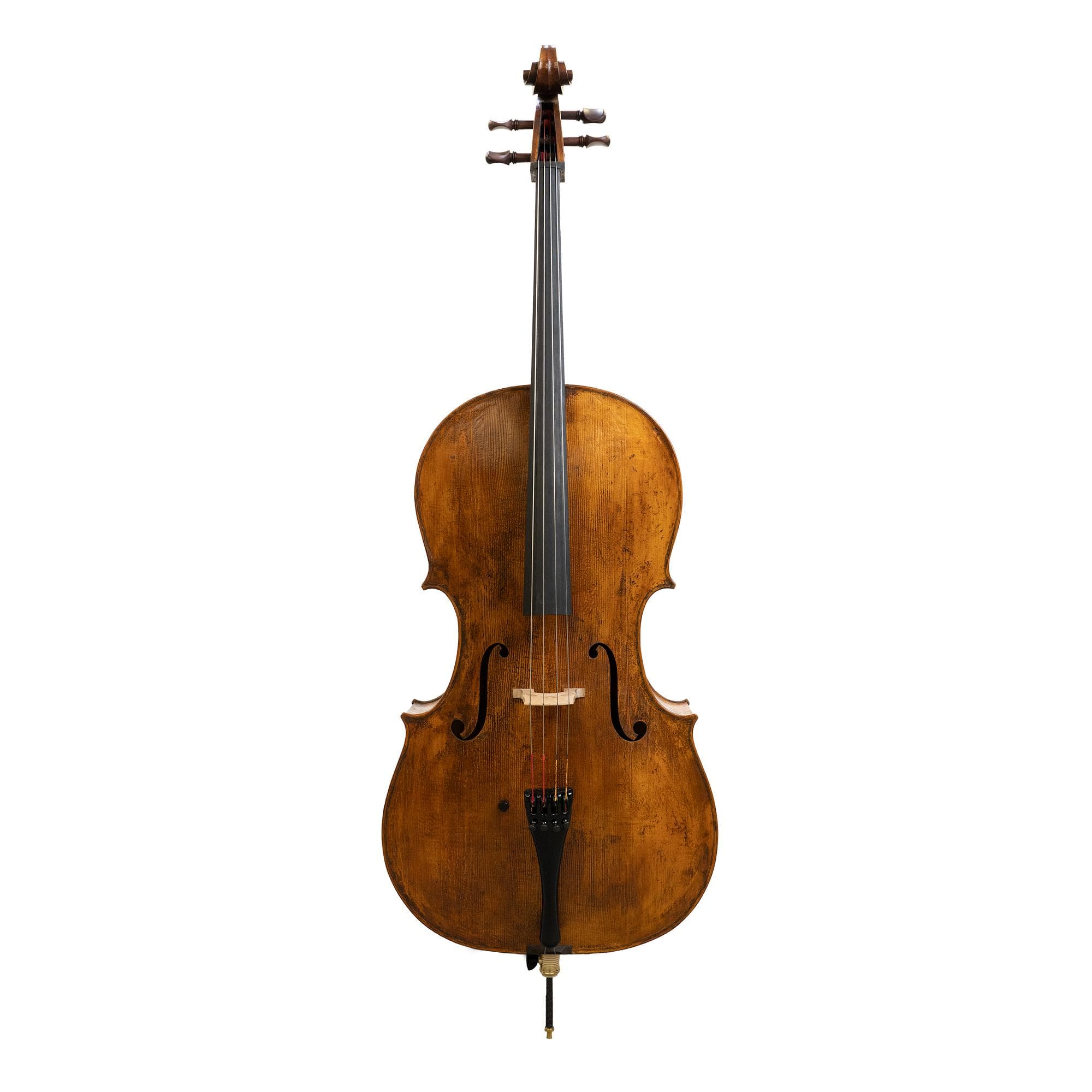 Calvin Tzeng Cello, Grand Rapids, MI 2021 - Image 2