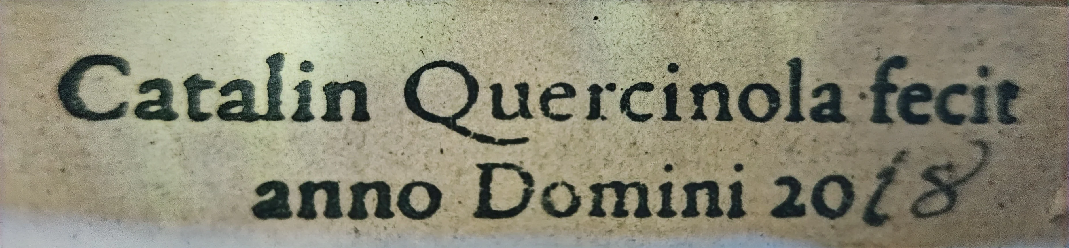 Catalin Quercinola Viola, Eudora, 2018, 15 7/8" - Image 7
