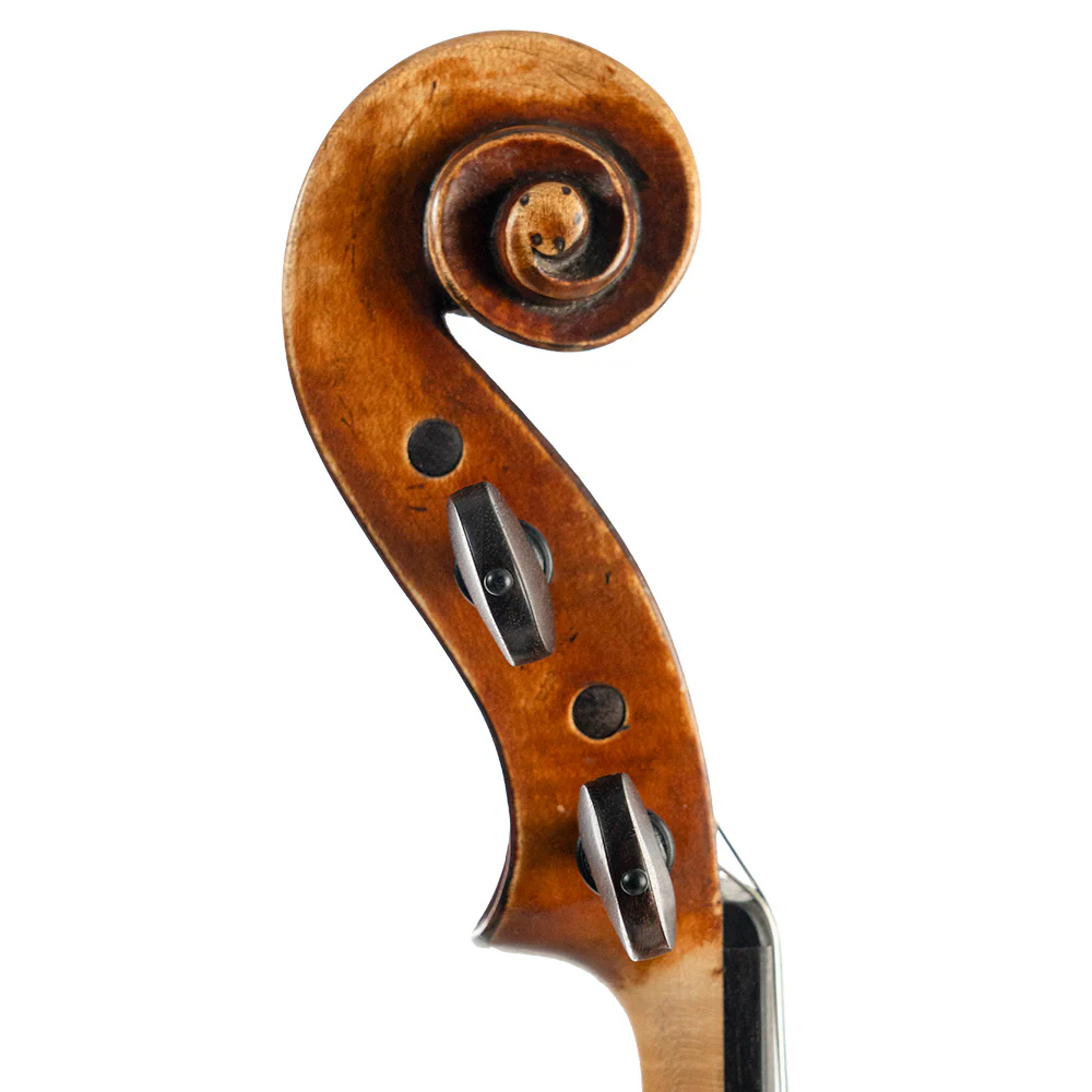 Catalin Quercinola Viola, Eudora, 2020, 15 3/4" - Image 5