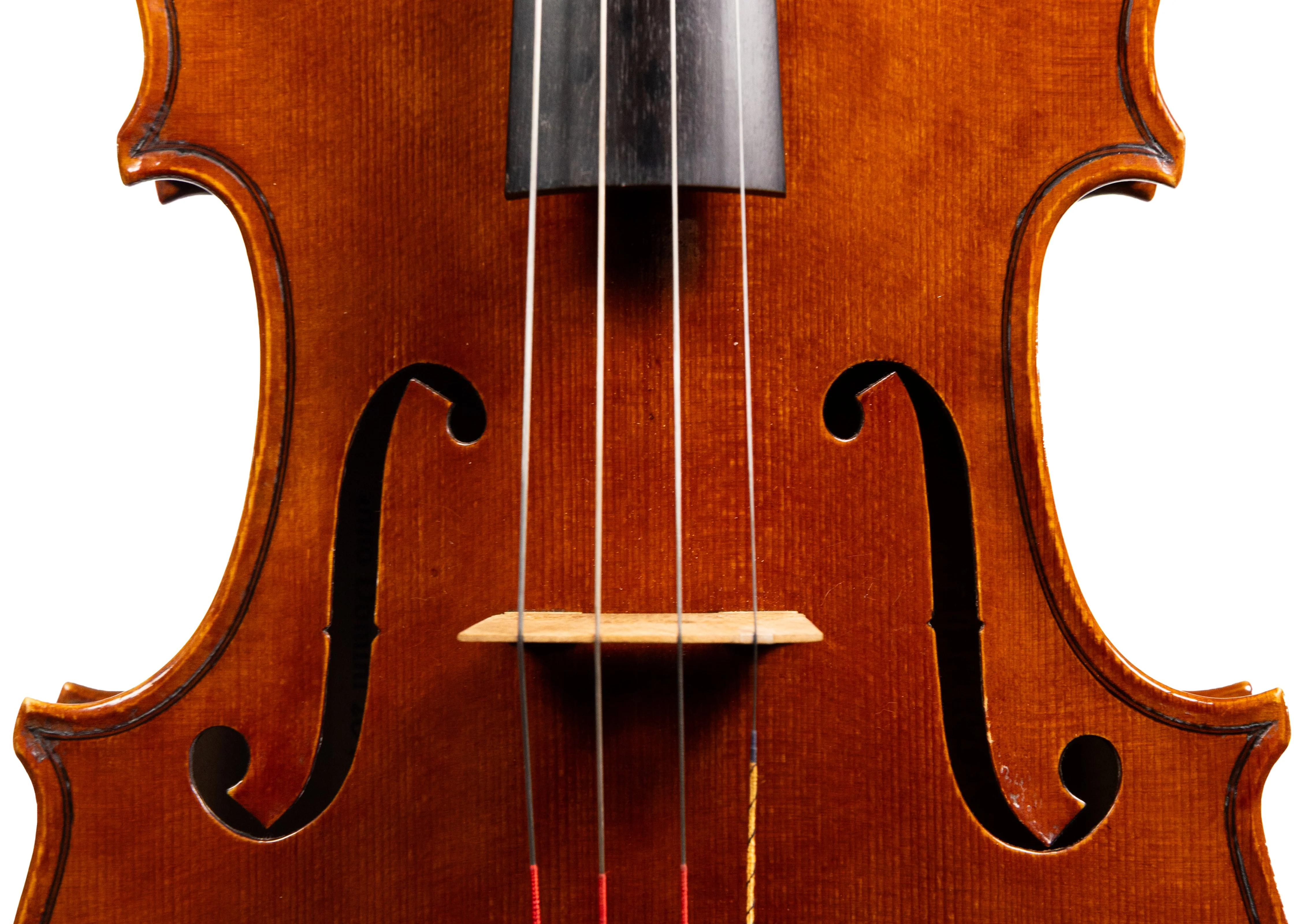 Catalin Quercinola Viola, Eudora, 2025, 15 3/4" w/ Certificate