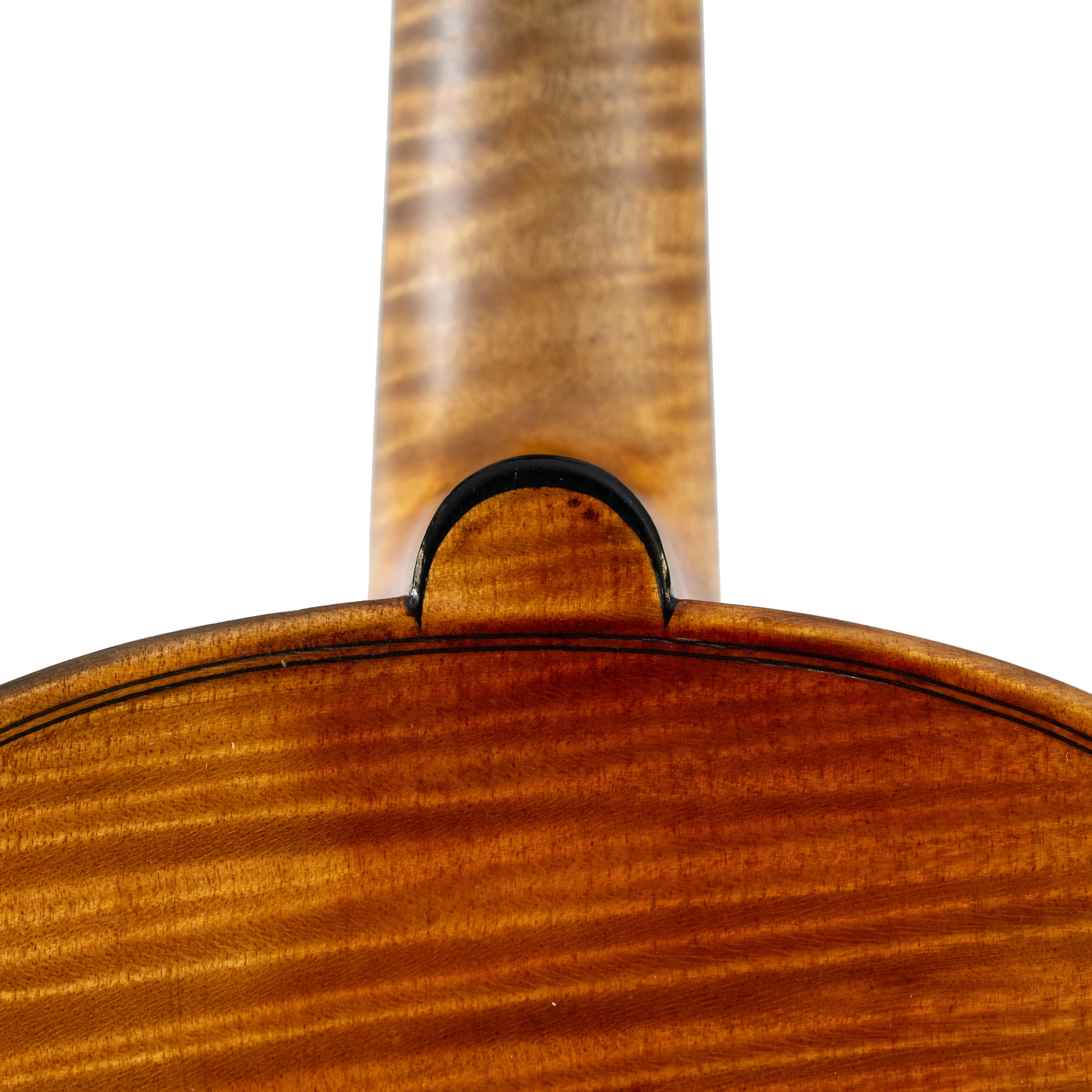E.H. Roth Violin Labeled Eugen Meinel, XR, Markneukirchen, c.1925 - Image 6