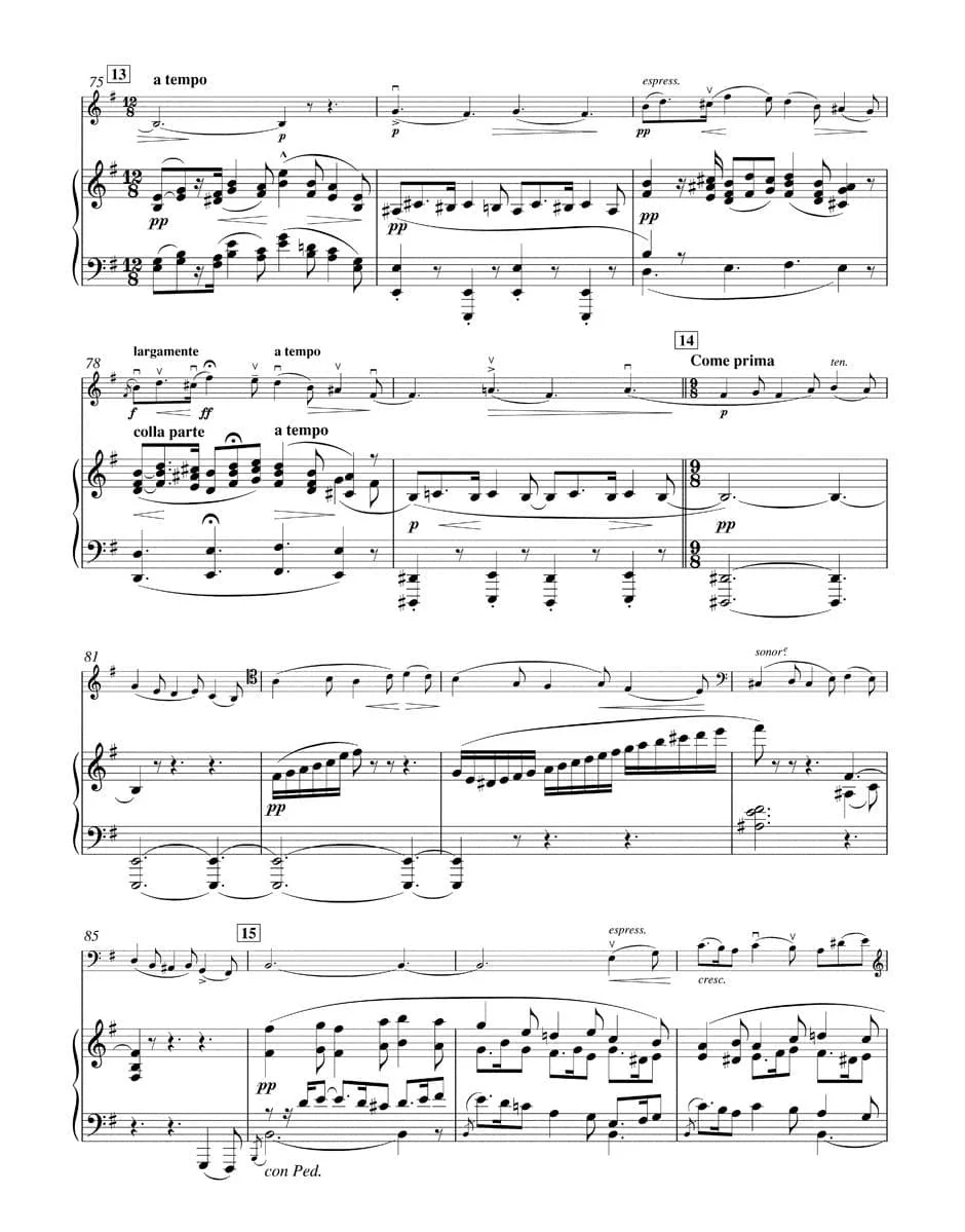 Elgar, Edward - Concerto in e-minor, Op 85 - Cello and Piano - edited by Jonathan Del Mar - Bärenreiter Verlag URTEXT - Image 3