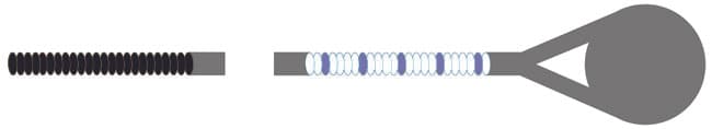 Pirastro Eudoxa Viola A-String - Image 4