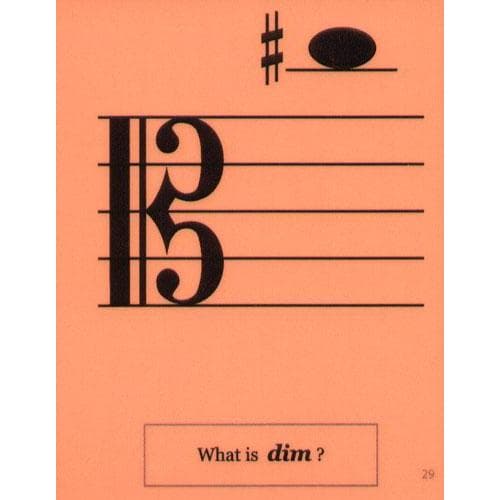 Laminated Viola Flash Cards - 32 Flashcard Set - Image 2