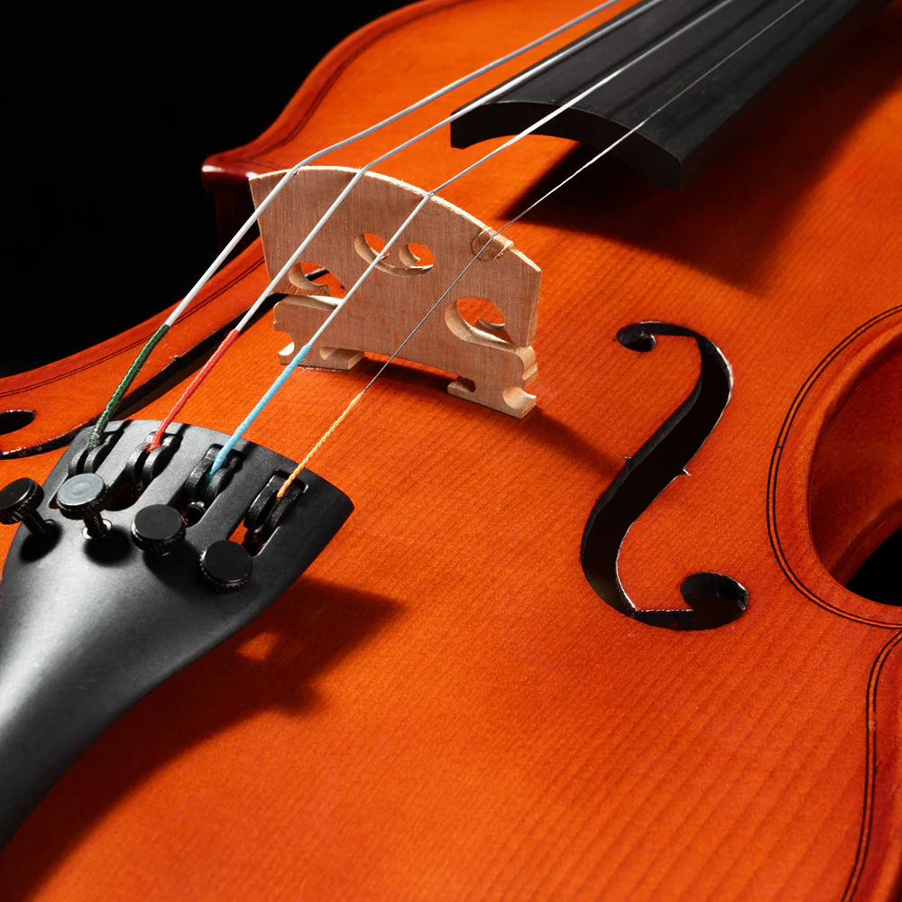 Franz Hoffmann® Amadeus Violin Outfit - Image 6