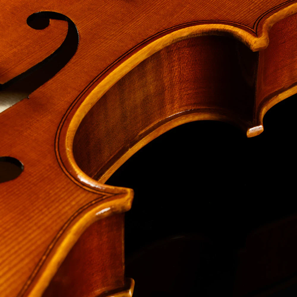 Franz Hoffmann® Concert Violin Deluxe Outfit - Image 8