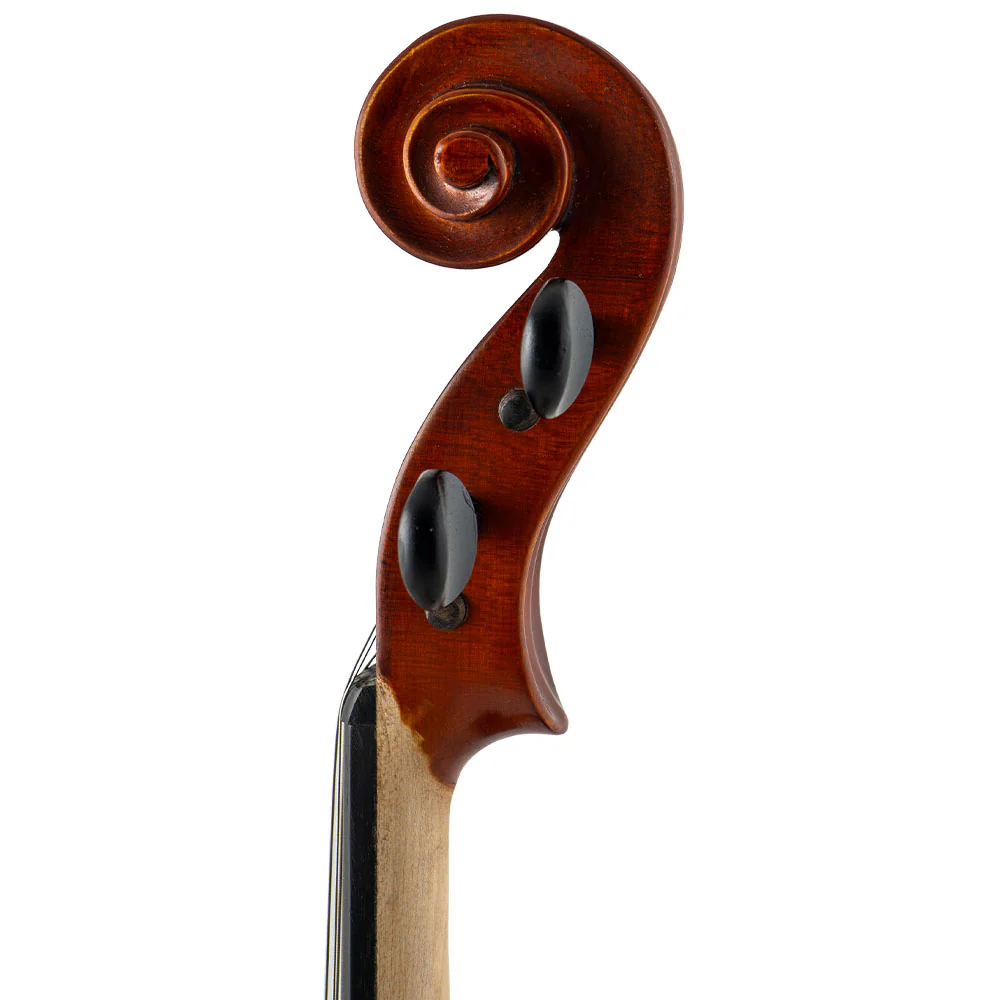 Franz Hoffmann® Danube Viola - Image 3