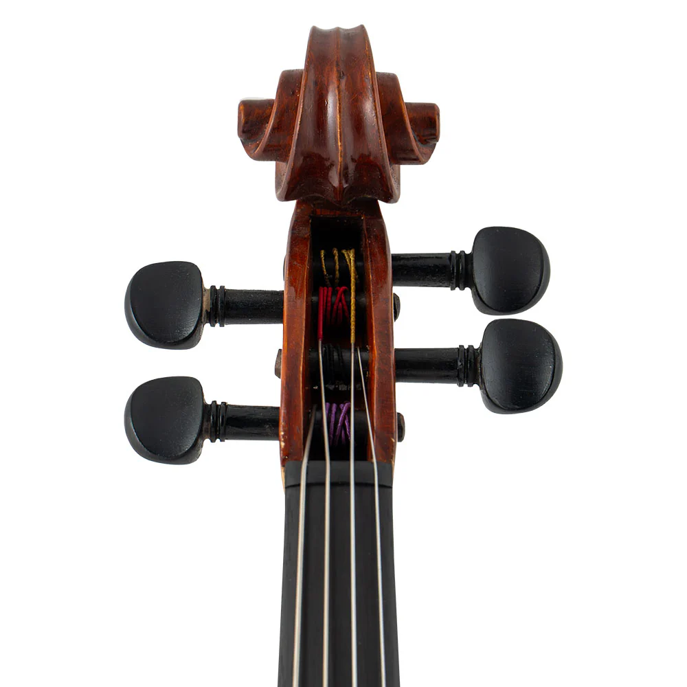 Franz Hoffmann® Danube Viola - Image 4