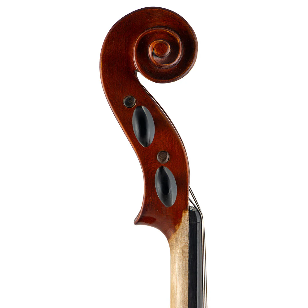 Franz Hoffmann® Danube Viola - Image 5