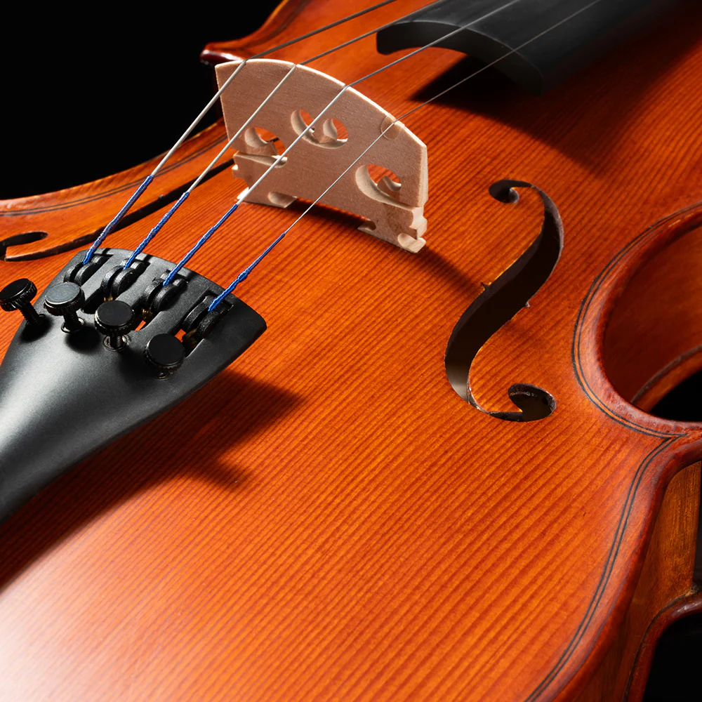 Franz Hoffmann® Danube Violin Deluxe Outfit - Image 6