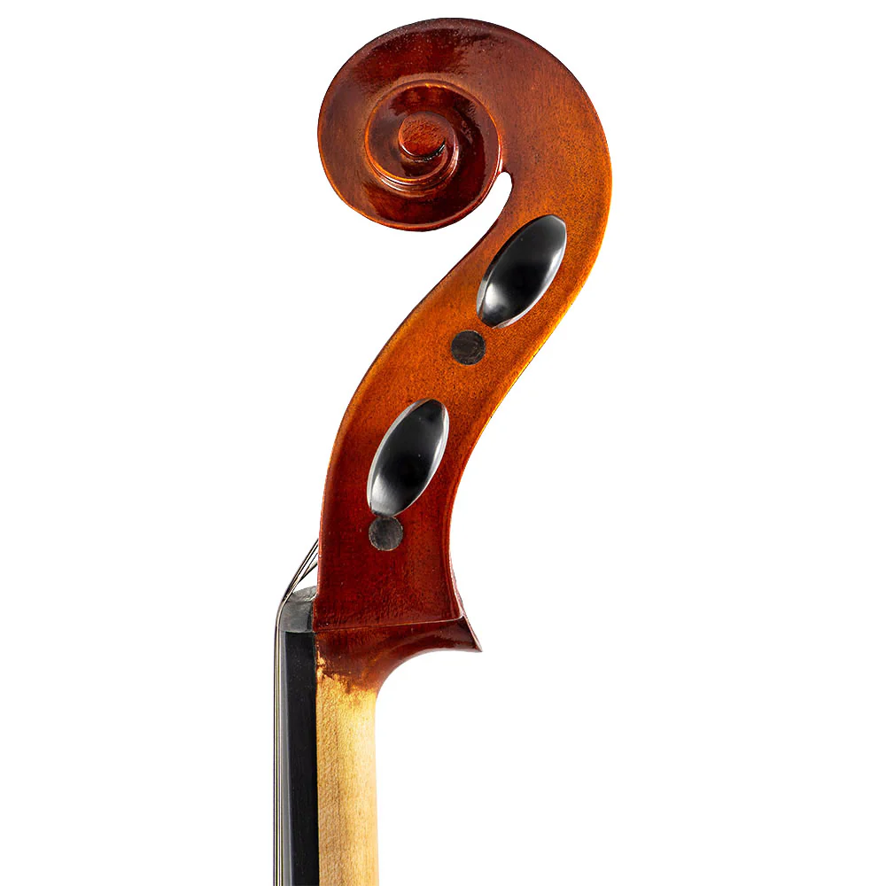 Franz Hoffmann® Prelude Cello - Image 4