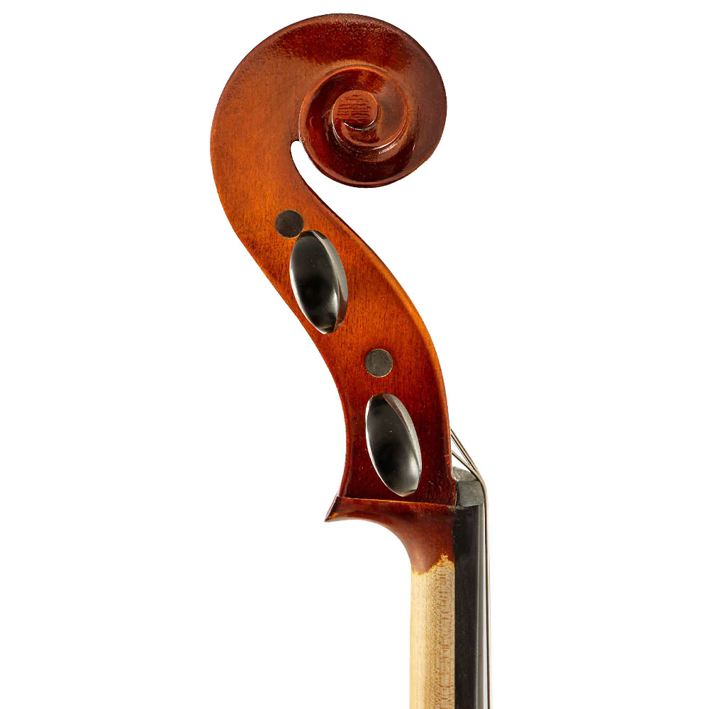 Franz Hoffmann® Prelude Cello - Image 5