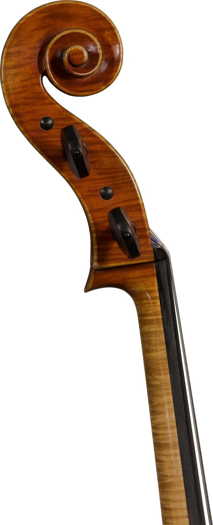 Giorgio Grisales "Garimberti" Cello, Cremona, 2017 - Image 3