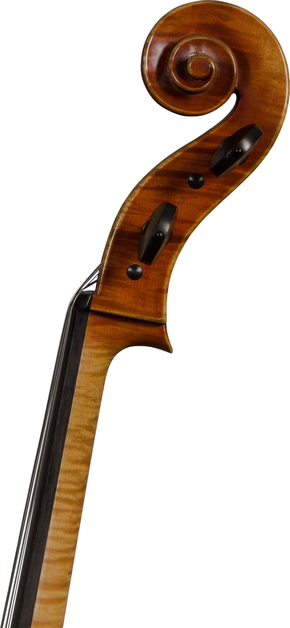 Giorgio Grisales "Garimberti" Cello, Cremona, 2017 - Image 4
