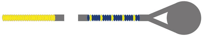 D'Addario Helicore Viola D String - Image 3