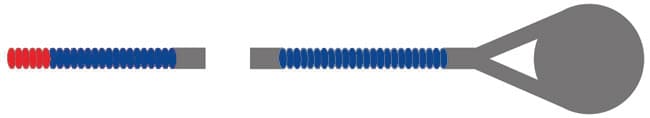 Jargar Special Cello D String - Image 5