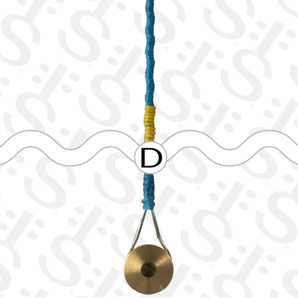 Jargar Superior Cello D String - Image 4