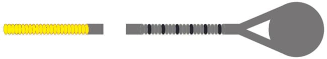 Kaplan Bass D String - Medium Gauge - 3/4 size - Image 3