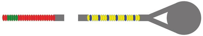 Larsen Soloist Cello G String - Image 3