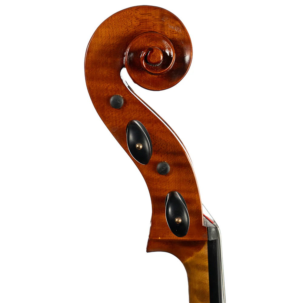 Lillo Salerno Workshop Cello - Image 3