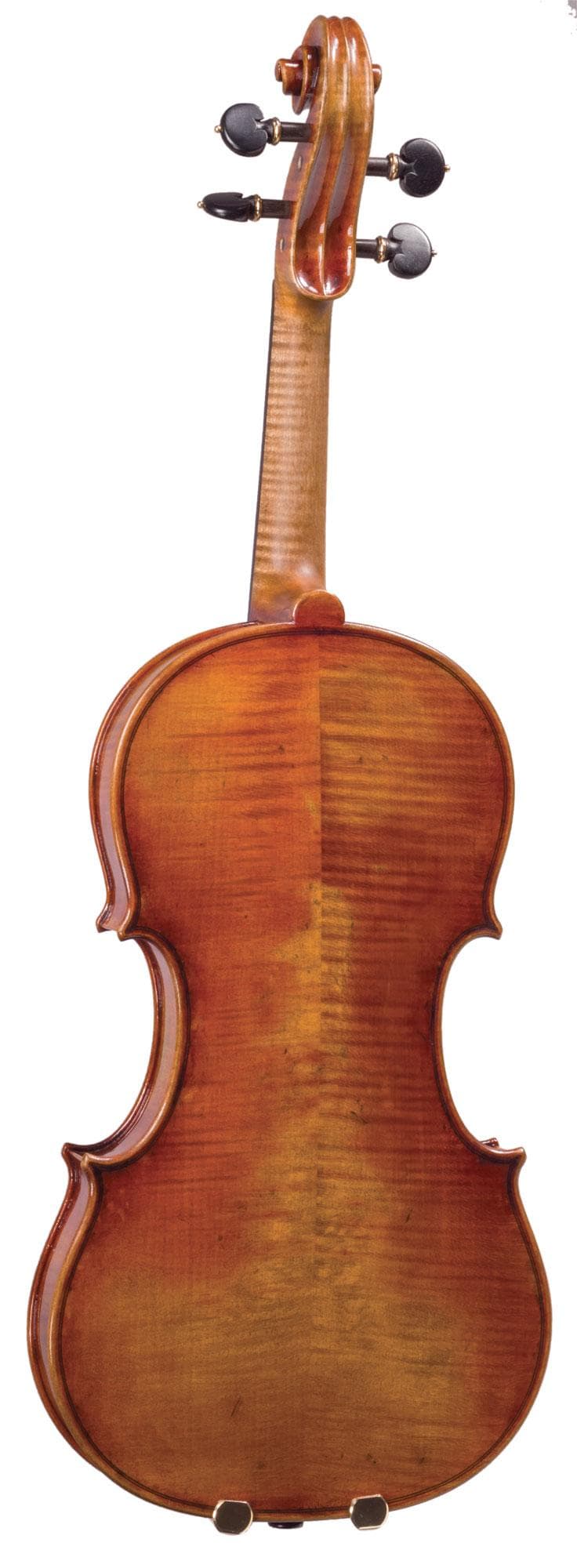 Ming-Jiang Zhu Artist Violin Graduation Outfit - Image 2