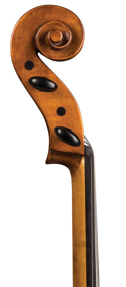 Otto Ernst Fischer® Bianca Cello - Image 3