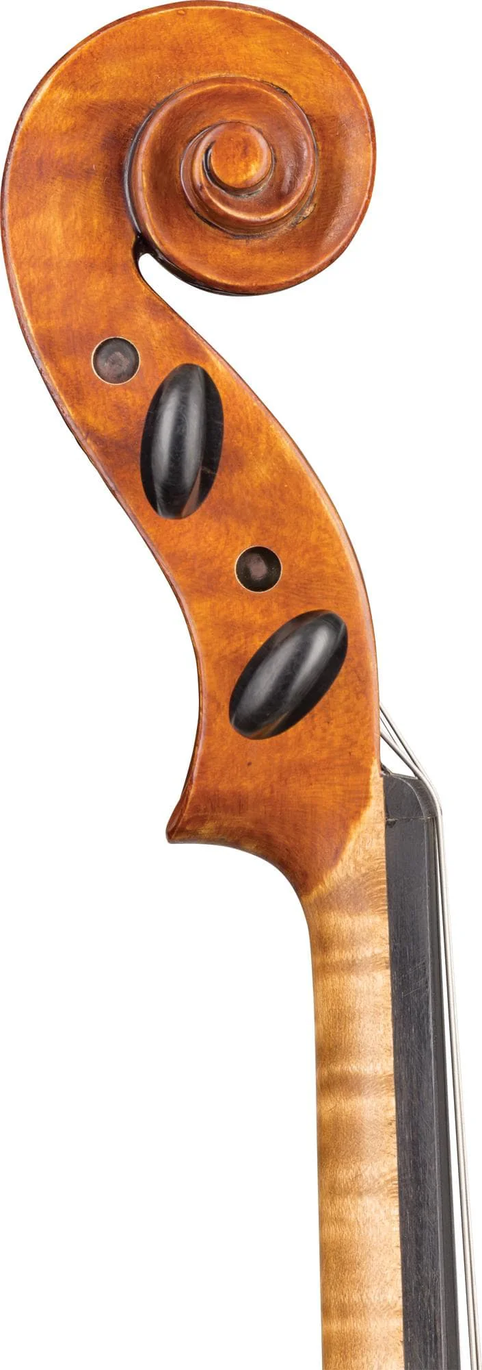 Outlet Franz Hoffmann® Danube Viola - Image 3
