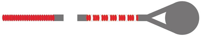 Overture Ultra Bass D String - Image 5
