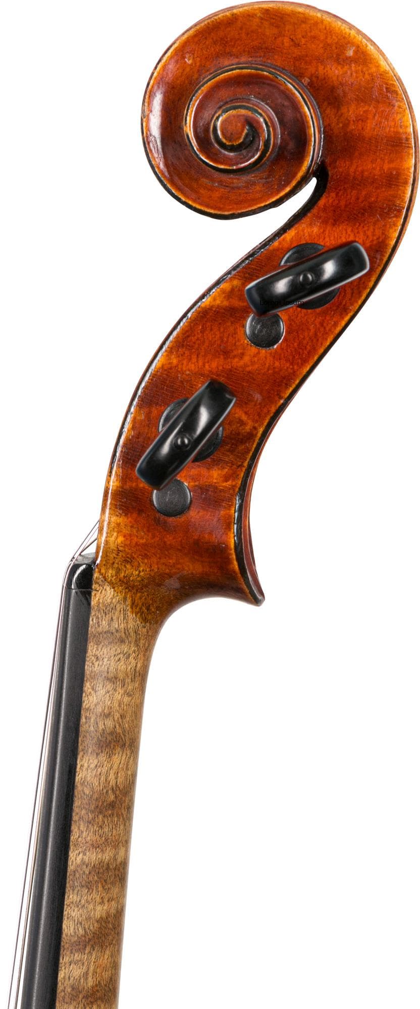 Pierre Joseph Hel Violin, Lille, 1894 - Image 4