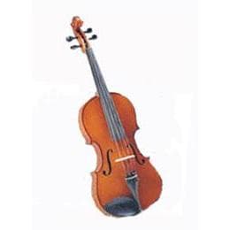 Pre-Owned Franz Hoffmann® Prelude Viola