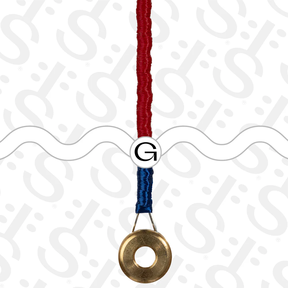 D'Addario Prelude Cello G String - Image 2