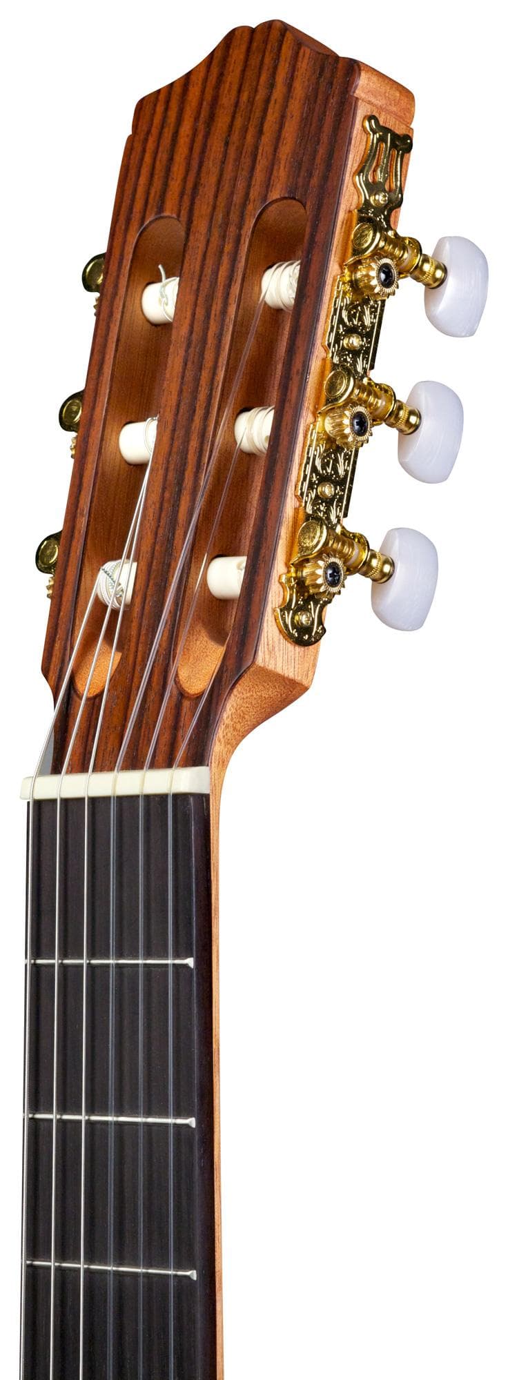 Protege Classical Guitar - Image 6