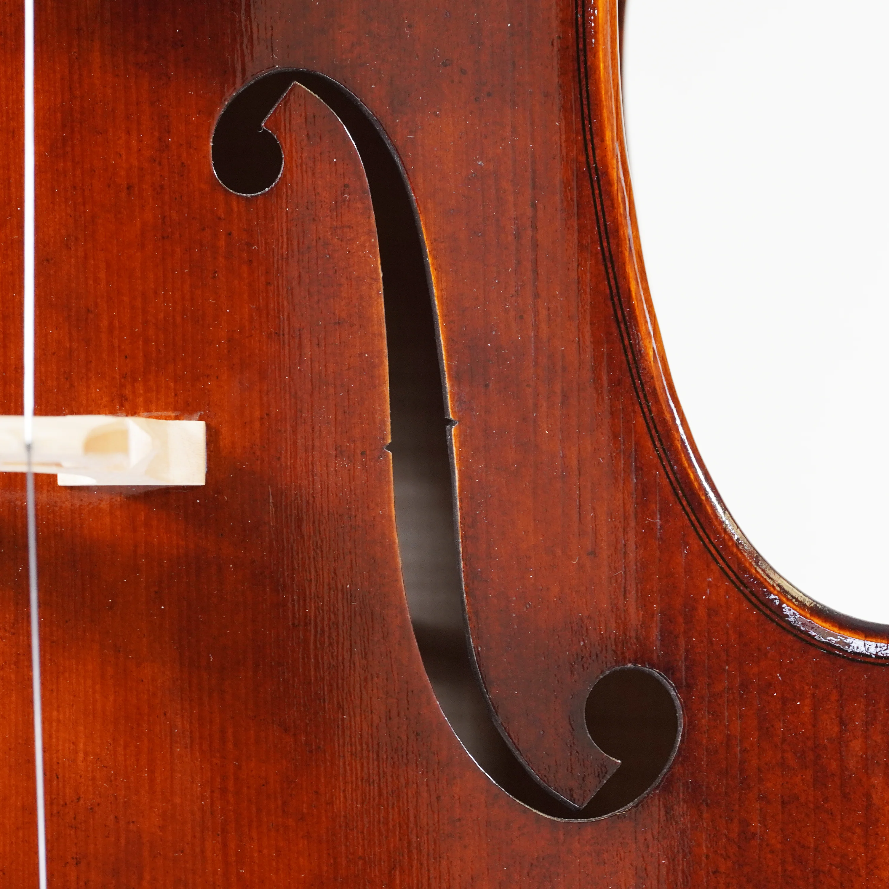 Rainer W. Leonhardt "The Dark Lion" Cello, Mittenwald, 2025 - Image 6