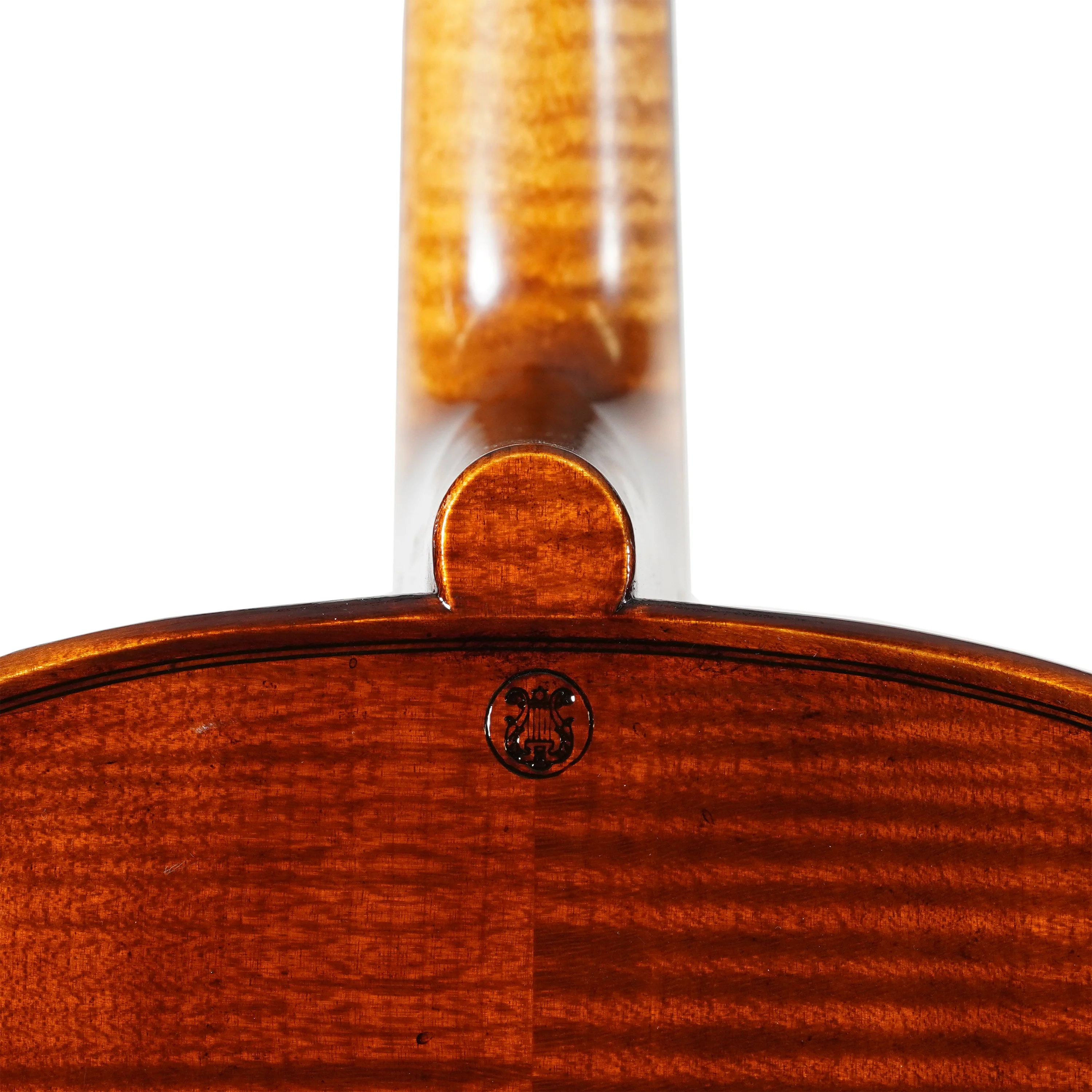 Rainer W. Leonhardt "The Dark Lion" Cello, Mittenwald, 2025 - Image 9