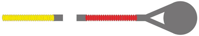 Red Label Double Bass E String 3/4 Size - Image 2