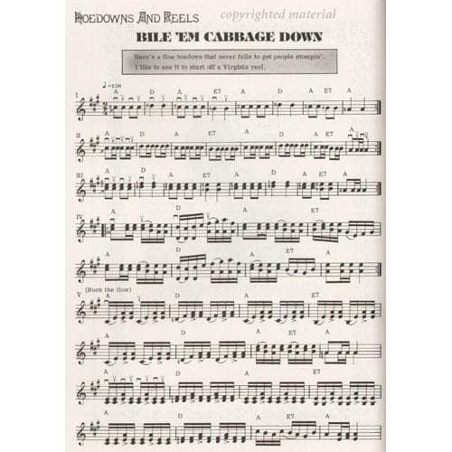 Reiner, David - Deluxe Anthology of Fiddle Styles - Book/Online Audio - Mel Bay Publications - Image 4