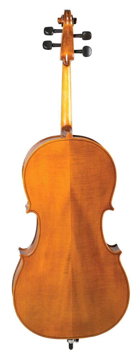 Blemished Strunal Model 415 Hybrid Cello 4/4 Size - Image 3