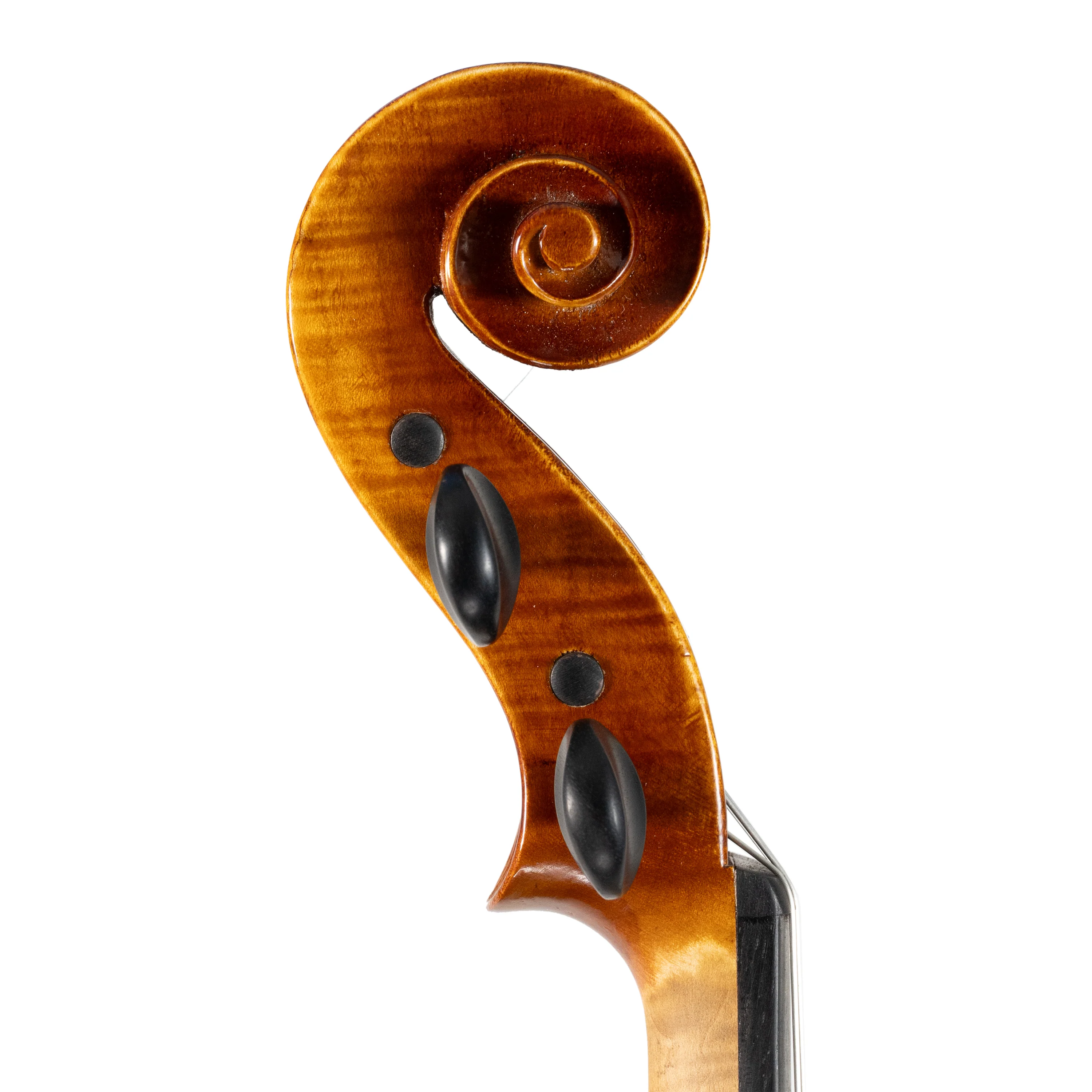 Shar Workshop Premium Violin - Image 6