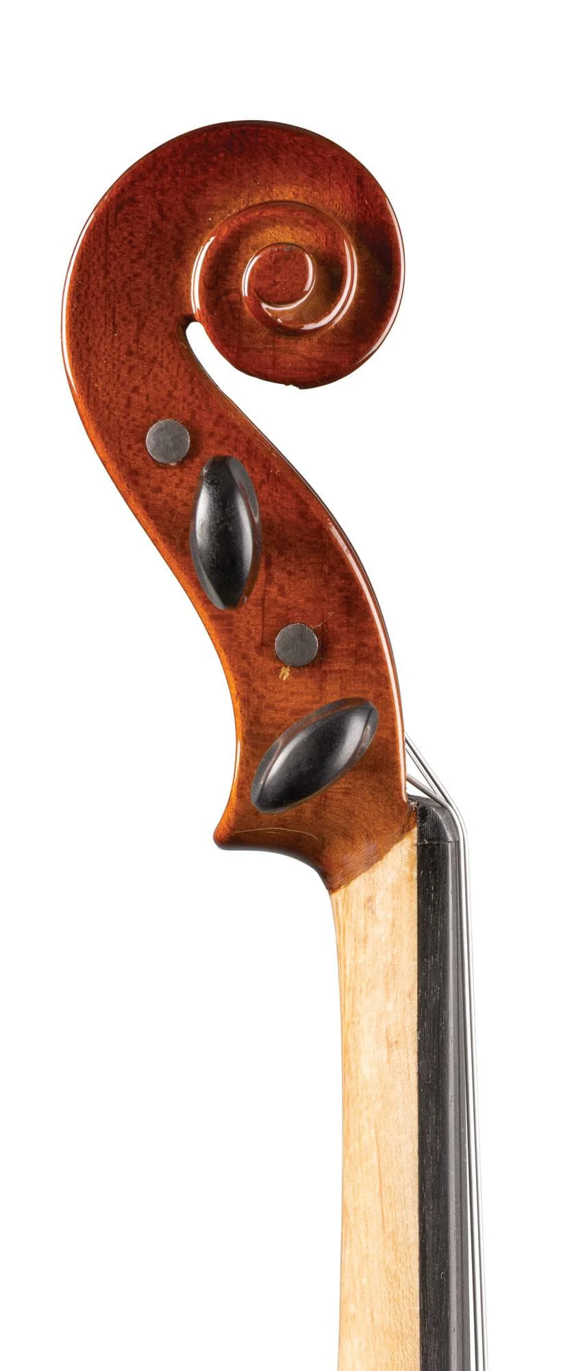 SharWay Standard Violin Outfit - Image 4