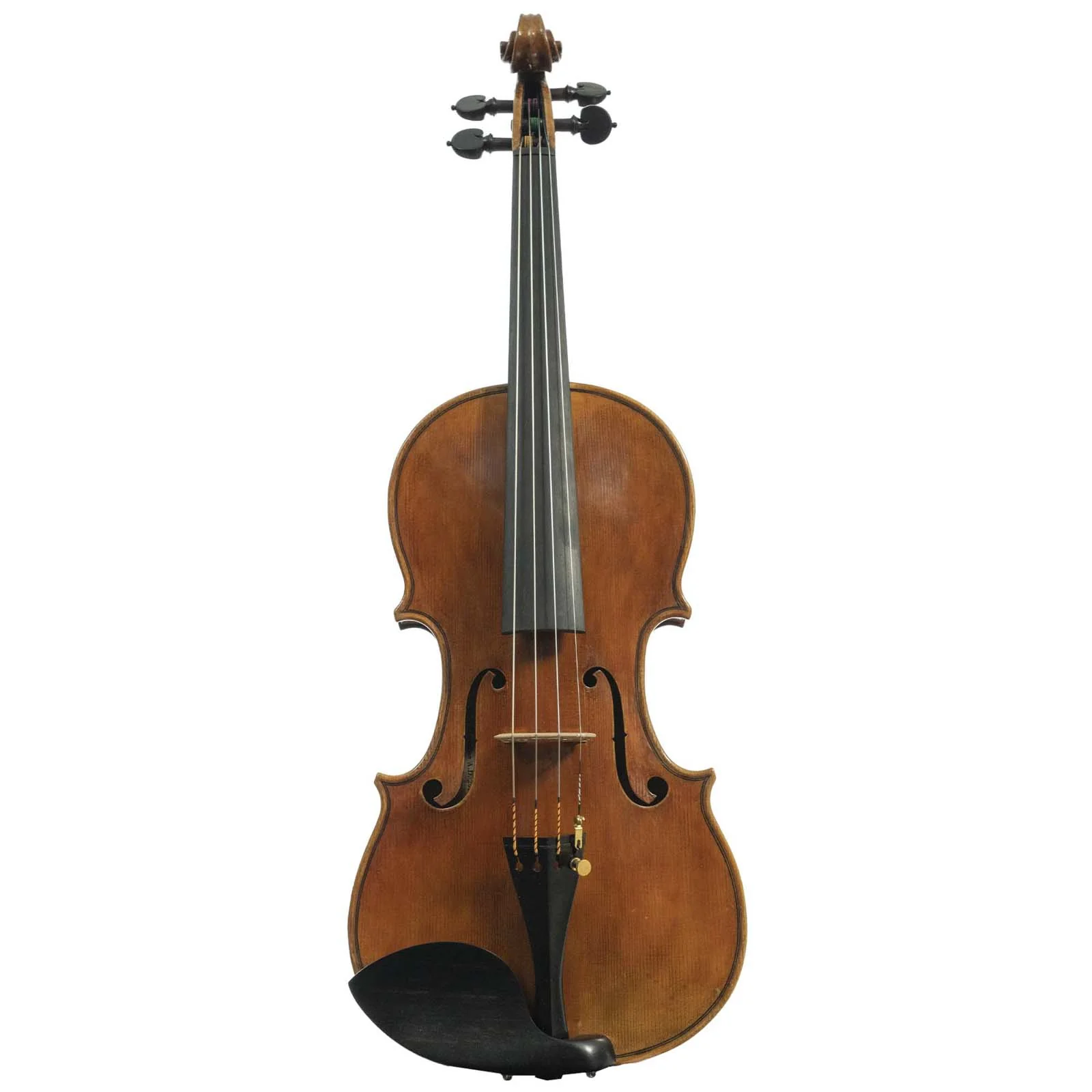 Sofia Vettori "Capello" Violin, Firenze, 2021