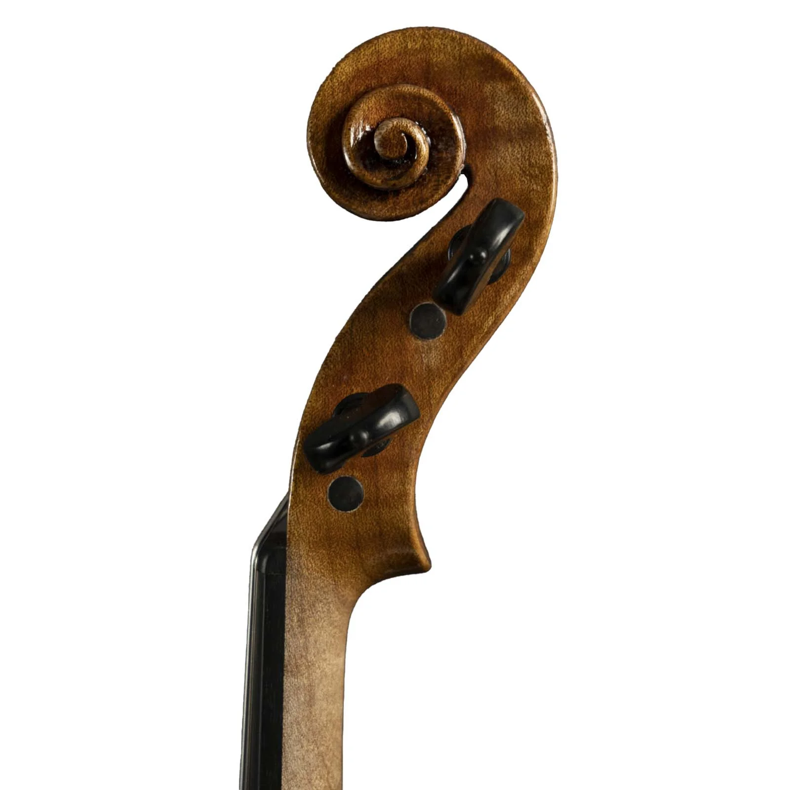 Sofia Vettori "Capello" Violin, Firenze, 2021 - Image 4