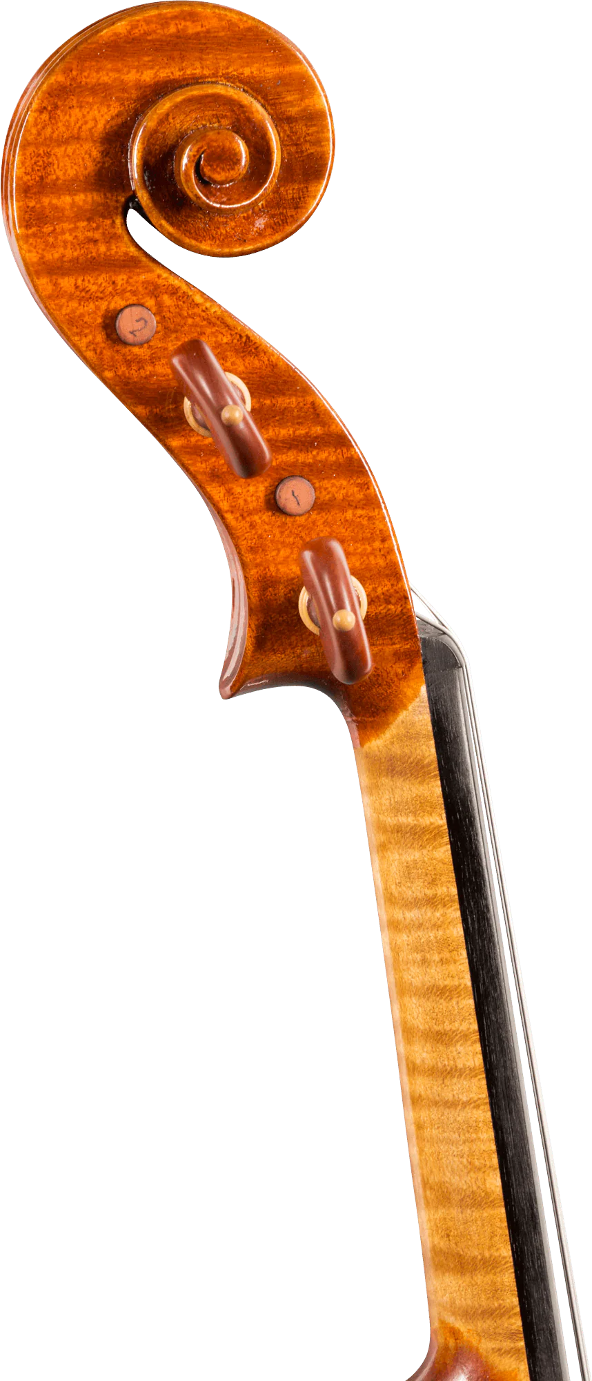 Stefano Trabucchi Violin, Cremona, 2016 - Image 4